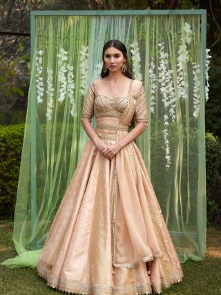 Old Rose Pink Lehenga Set