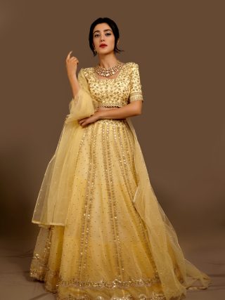 Lehenga Set