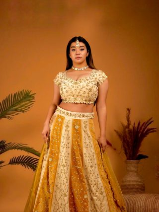 Lehenga Set