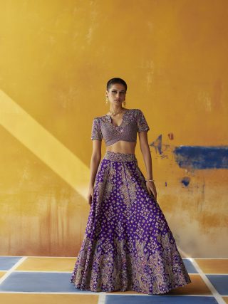 Teerdha Lehenga Set