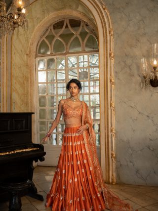 Lehenga Set